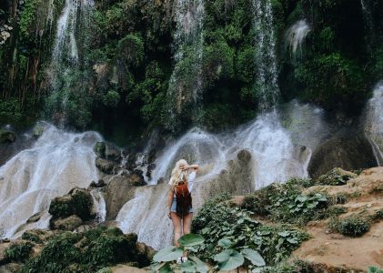 Liz Schaffer’s breathtaking new book encourages you to explore the world around you more slowly